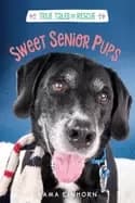 sweet senior pups