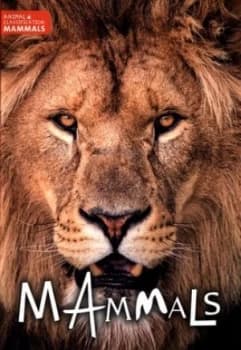 Mammals by Charlie Ogden