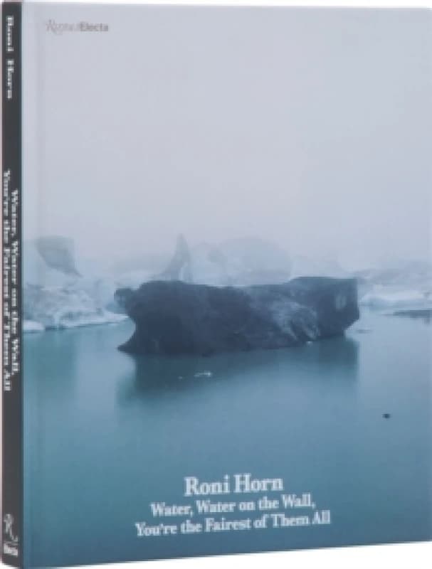Roni Horn. Hardback. By Roni Horn Books