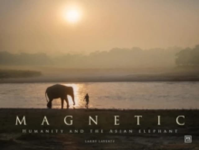 Magnetic : Humanity and the Asian elephant Hardback