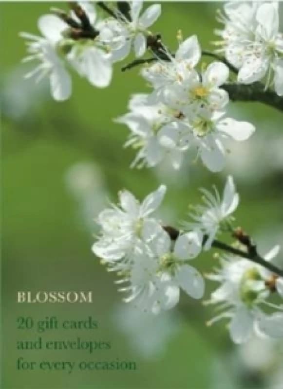 Blossom Large Card Box Cards
