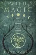 wild magic celtic folk traditions for the solitary practitioner