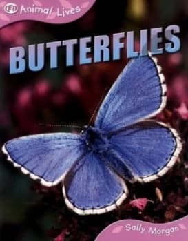 Butterflies by Sally Morgan Paperback