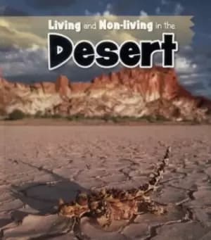 Living and non-living in the desert by Rebecca Rissman
