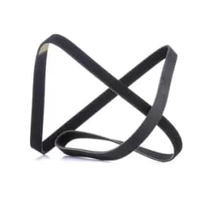 RIDEX V-ribbed belt 305P0508 Serpentine belt,Auxiliary belt BMW,HYUNDAI,KIA,3 Touring (E91),3 Limousine (E90),3 Coupe (E92),X1 (E84),3 Cabrio (E93)
