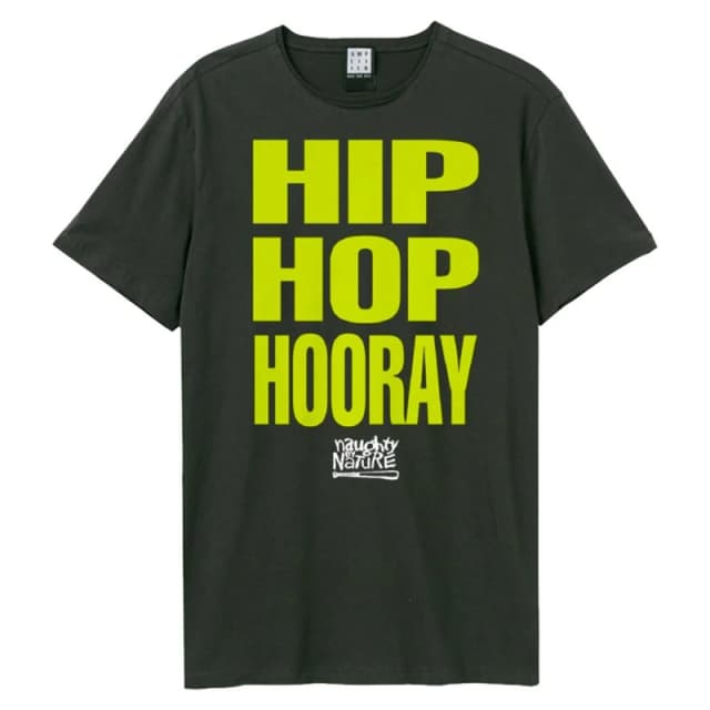 Amplified Amplified Men Hip Hop Hooray Naughty By Nature T-Shirt in Charcoal Size: Small Charcoal S Male 5063470005970
