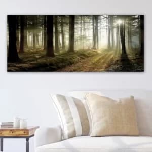 YTY249153832_50120 Multicolor Decorative Canvas Painting