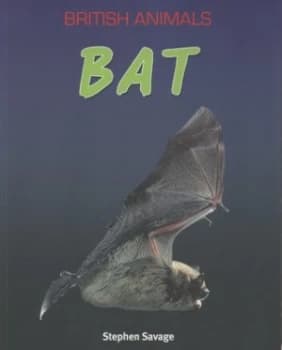 Bat by Stephen Savage Paperback