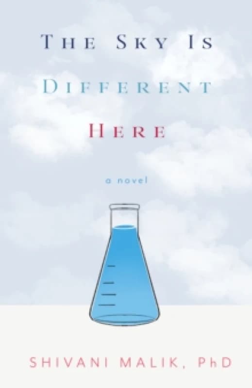 The Sky is Different Here : A Novel Paperback / softback