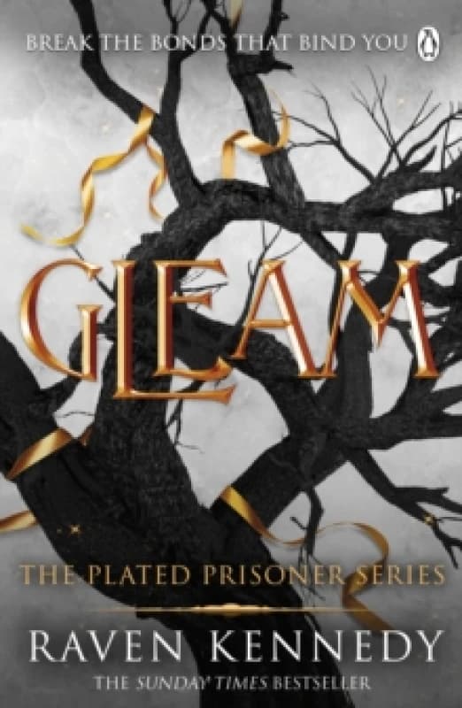 Gleam Paperback / softback