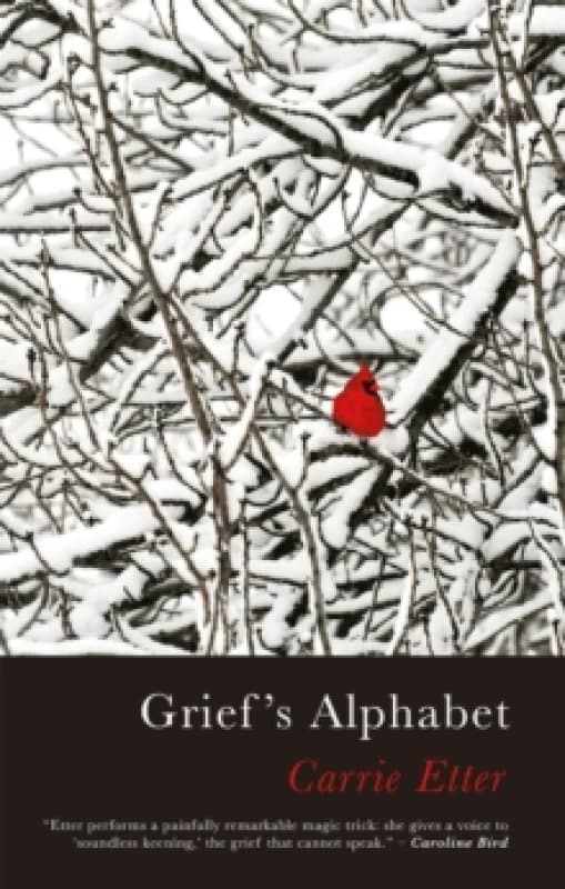 Griefs Alphabet Paperback / softback