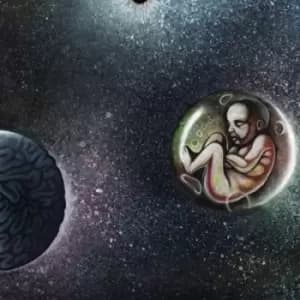 Cosmic Child by New Keepers of the Water Towers Vinyl Album