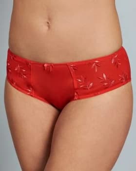 Panache Tango II Ruby Briefs