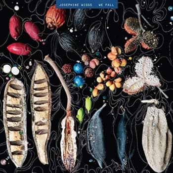 Josephine Wiggs - We Fall CD