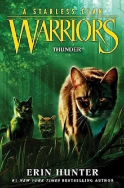 Thunder - Erin Hunter - Hardback - Used
