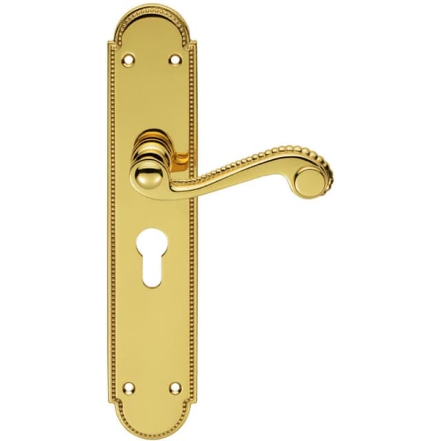 Loops PAIR Beaded Pattern Handle on Euro Lock Backplate 249 x 50mm Polished Brass Metallics