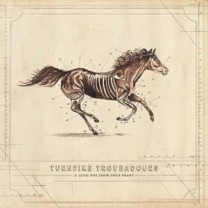 A Long Way from Your Heart by Turnpike Troubadours CD Album