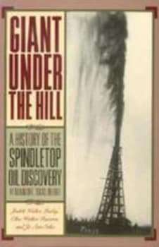 Giant under the Hill by Jo Stiles Paperback
