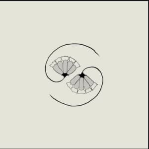 Godspeed You Black Emperor - G_d's Pee At State's End Vinyl