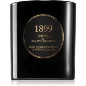 Cereria Molla Gold Edition Ginger & Orange Blossom Scented Candle 230g