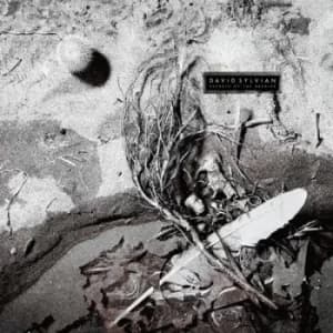 Secrets of the Beehive by David Sylvian Vinyl Album