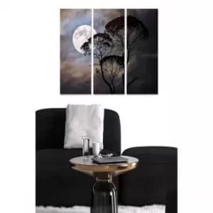 MDF3866775 Multicolor Decorative MDF Painting (3 Pieces)