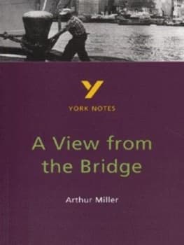A View from the Bridge Arthur Miller by Shay Daly Paperback