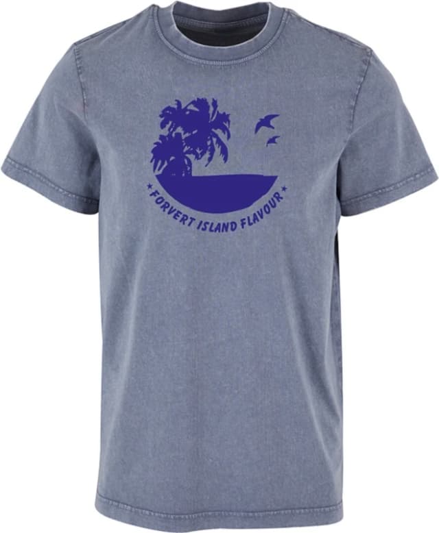 Brandit Forvert Sunnyvale T-Shirt, blue, Size XL for Men