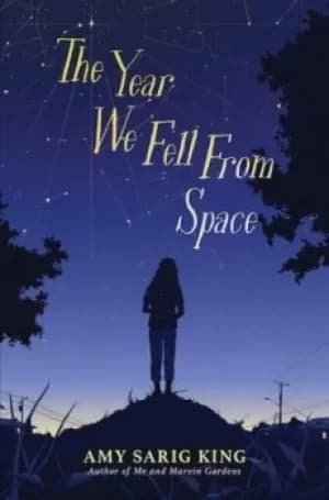 The year we fell from space by A. S. King