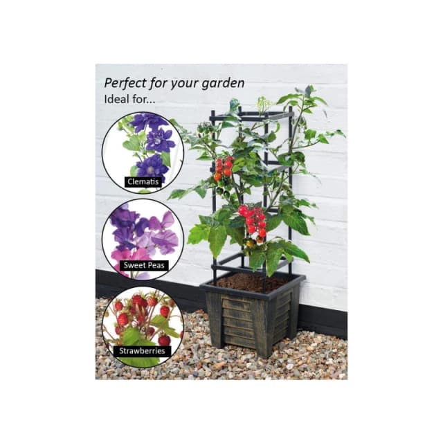 Greenhurst 4 Tier Vegetable/Plant Trellis Planter - Brown Brown One Size