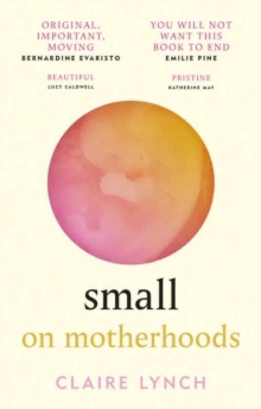 Small: On Motherhoods : 'A beautiful perfect book' PHILIPPA PERRY Paperback / softback