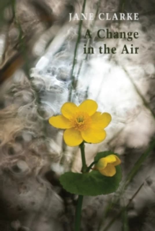 A Change in the Air Paperback / softback