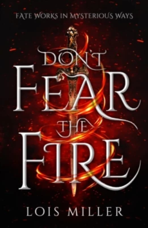 Don't Fear the Fire Paperback / softback