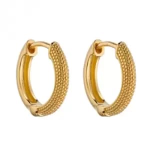 Yellow Gold Plated Micro Bead Textured Hoop Earrings E5998