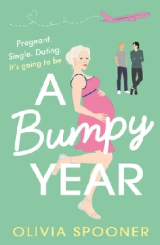 A Bumpy Year Paperback / softback