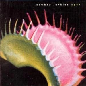 Open by Cowboy Junkies CD Album
