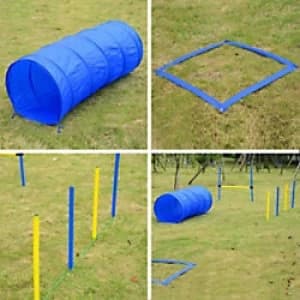 PawHut Pet Agility Set 6x Steel Stakes, 4x Spikes, 4x Lunch Box Spikes Blue, Yellow