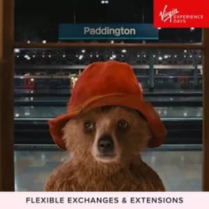 Paddington Bear Walking Tour for Two