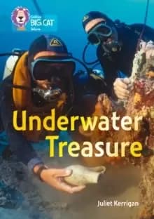 Underwater Treasure : Band 13/Topaz