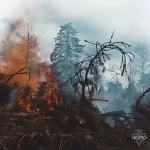 Grieved by Grieved Vinyl Album