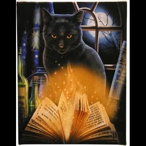 Small Bewitched Canvas Picture by Lisa Parker