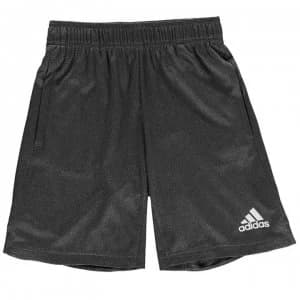 adidas Climachill Training Shorts Junior Boys - Black