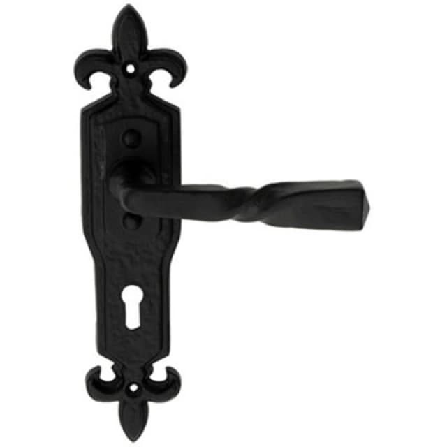 Loops PAIR Forged Twisted Ornate Lever on Lock Backplate 226 x 50mm Black Antique Black