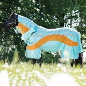 Amigo Vamoose Evolution Rug - Aqua/Orange/Aqu