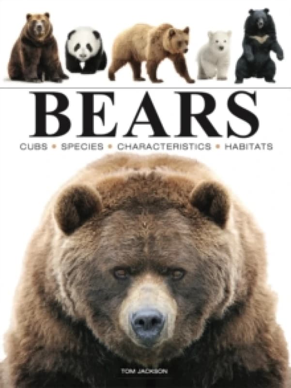Bears Paperback / softback