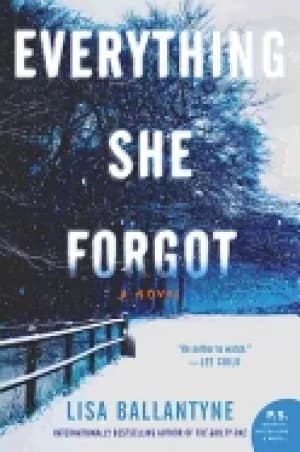 everything she forgot a novel