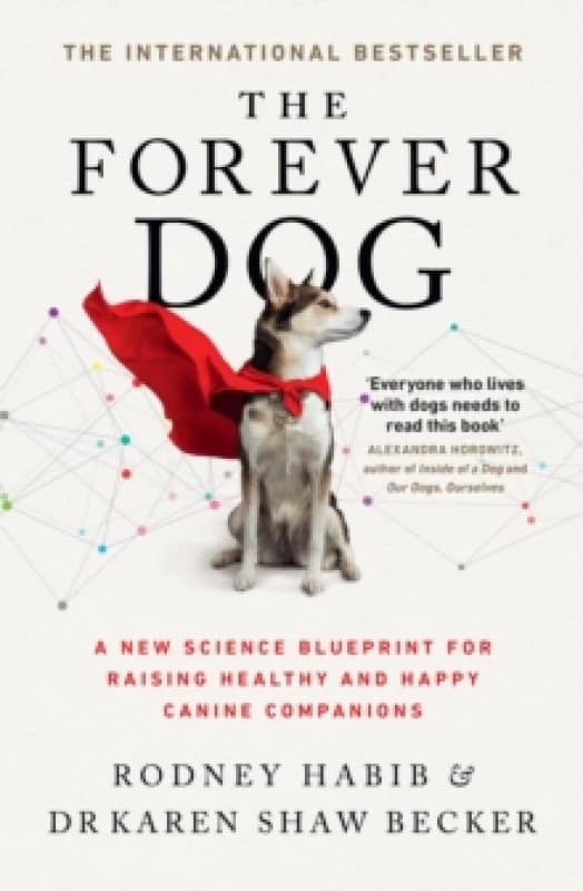 The Forever Dog. Paperback. By Rodney Habib, Karen Shaw Becker Books