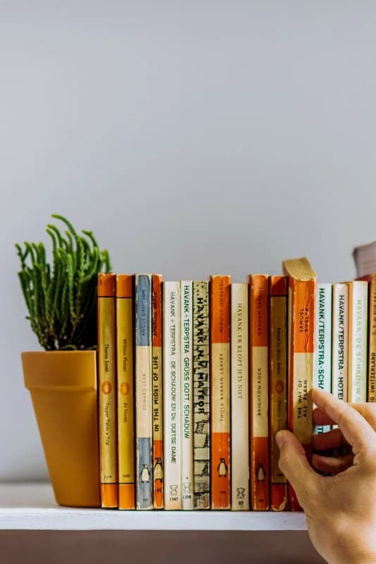 Find Me A Gift Find Me A Gift Plant Pot Bookends Multi One Size Unisex 5060043065997