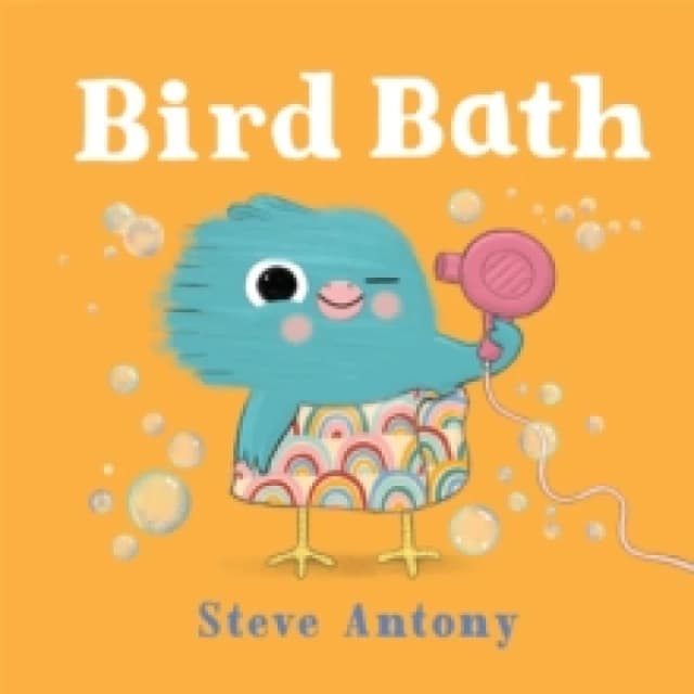 Bird Bath Paperback / softback