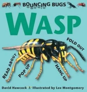 Wasp by David Hawcock Hardback